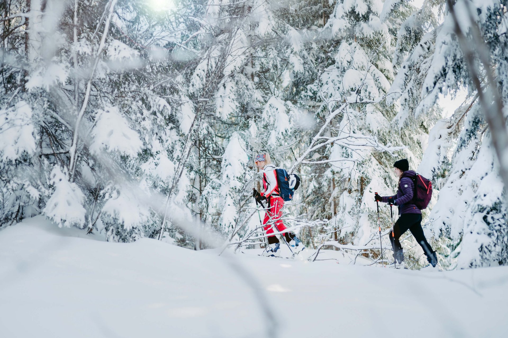 Skitour im Winterwonderland Filzmoos © Nadia Jabli_www.filzmoos.at Two people cross-country skiing in a snowy forest