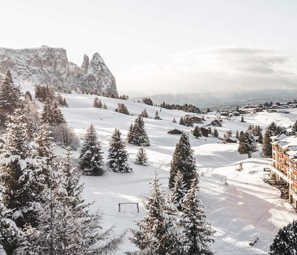 Hotel Steger-Dellai © Hannes Niederkofler Winterlandschaft mit schneebedeckten Bäumen und Berghotel