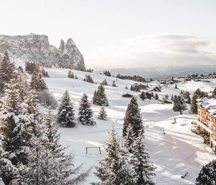 Hotel Steger-Dellai © Hannes Niederkofler Winterlandschaft mit schneebedeckten Bäumen und Berghotel