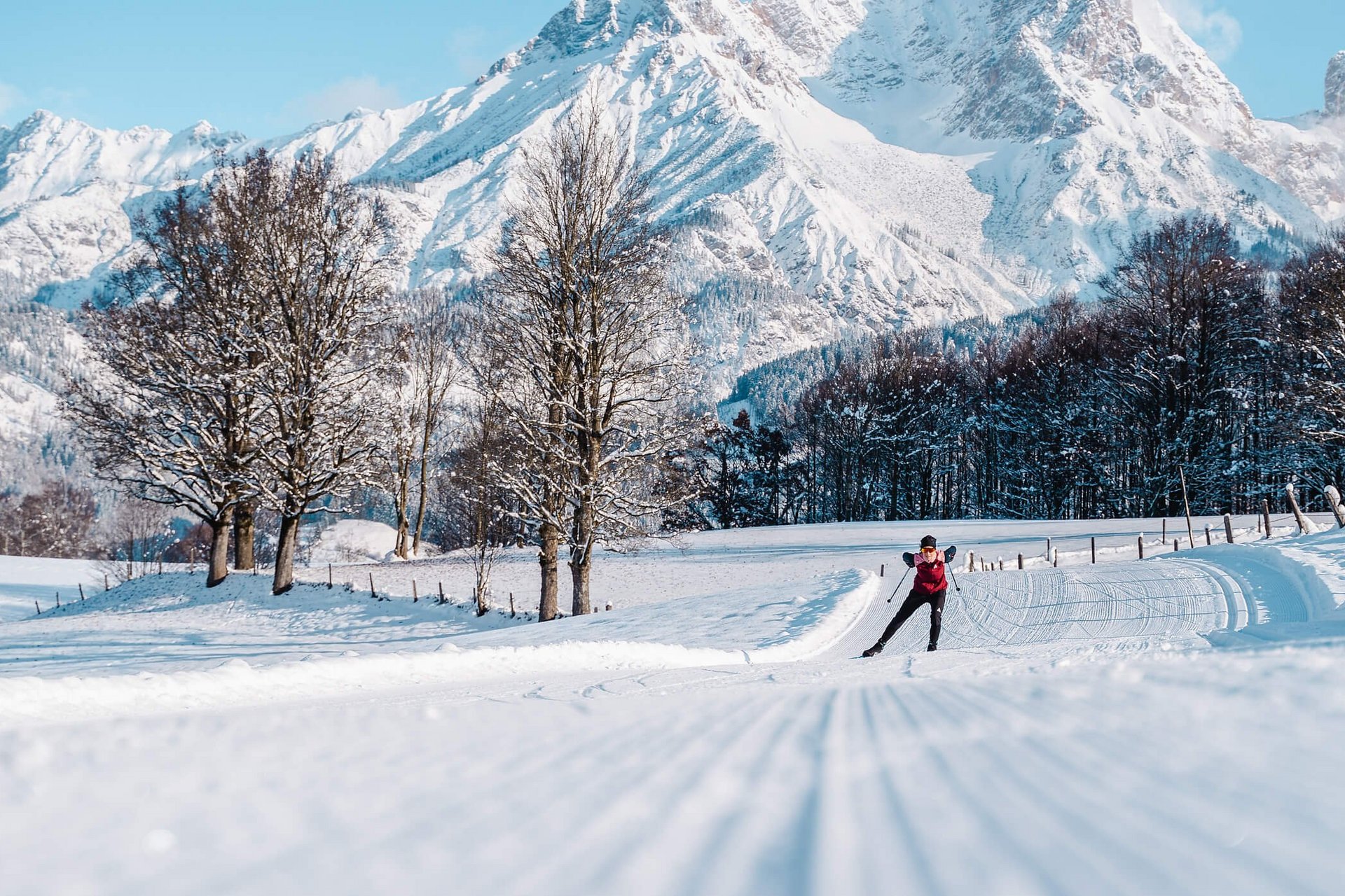 Langlauf Urlaub © Michael Geißler Langläufer auf verschneiter Loipe vor schneebedeckten Bergen