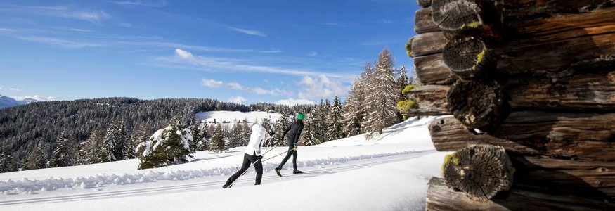 Gitschberg-Jochtal © Alex Filz Zwei Menschen beim Langlaufski im verschneiten Wald bei klarem Himmel
