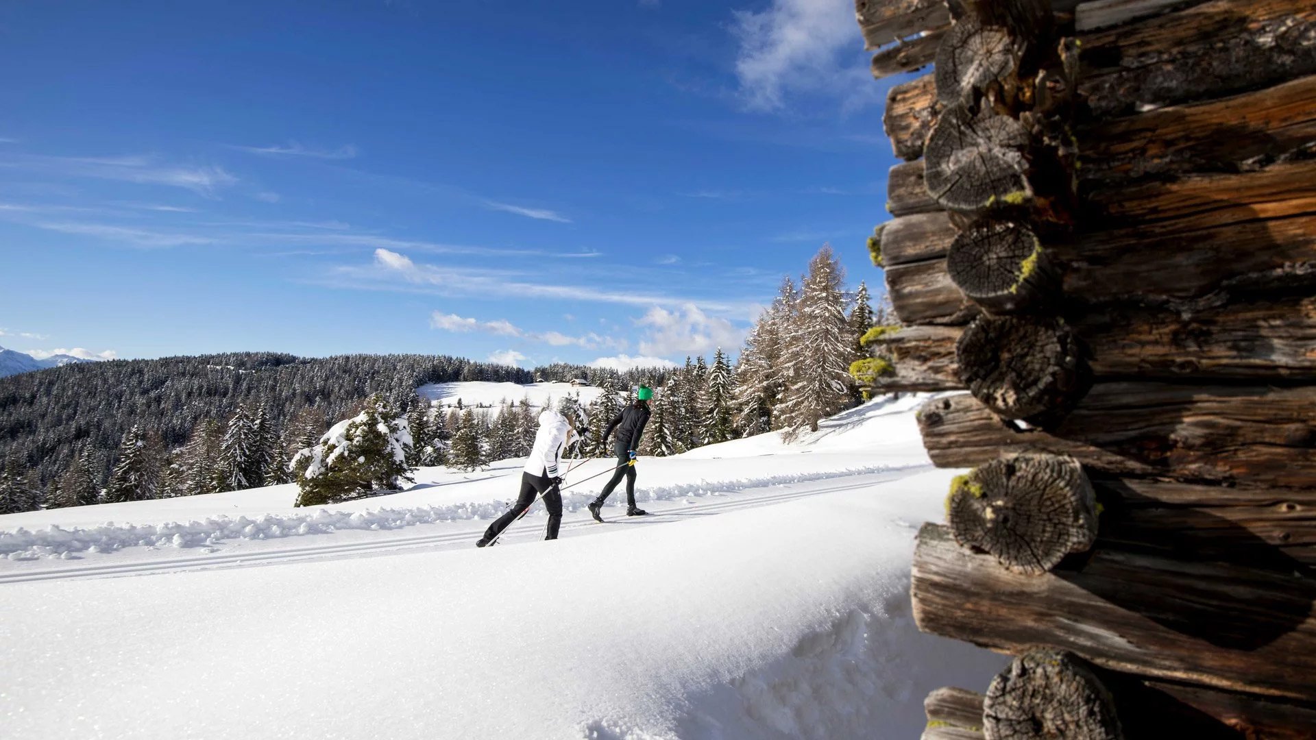 Langlauf Urlaub in Gitschberg-Jochtal © Alex Filz Zwei Menschen beim Langlaufski im verschneiten Wald bei klarem Himmel
