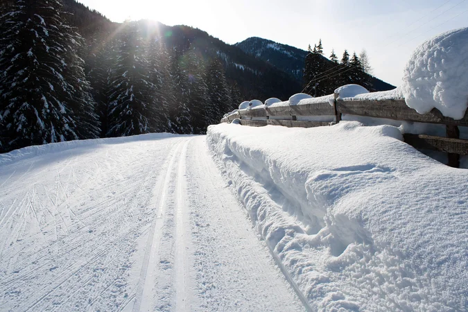 Langlauf Urlaub © Judith Vasselai Schneebedeckter Weg mit Zaun und Tannen im Sonnenschein