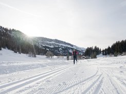 Oberstdorf © Frithjof Kjer Person beim Skilanglauf auf verschneiter Loipe vor Bergkulisse bei Sonnenschein