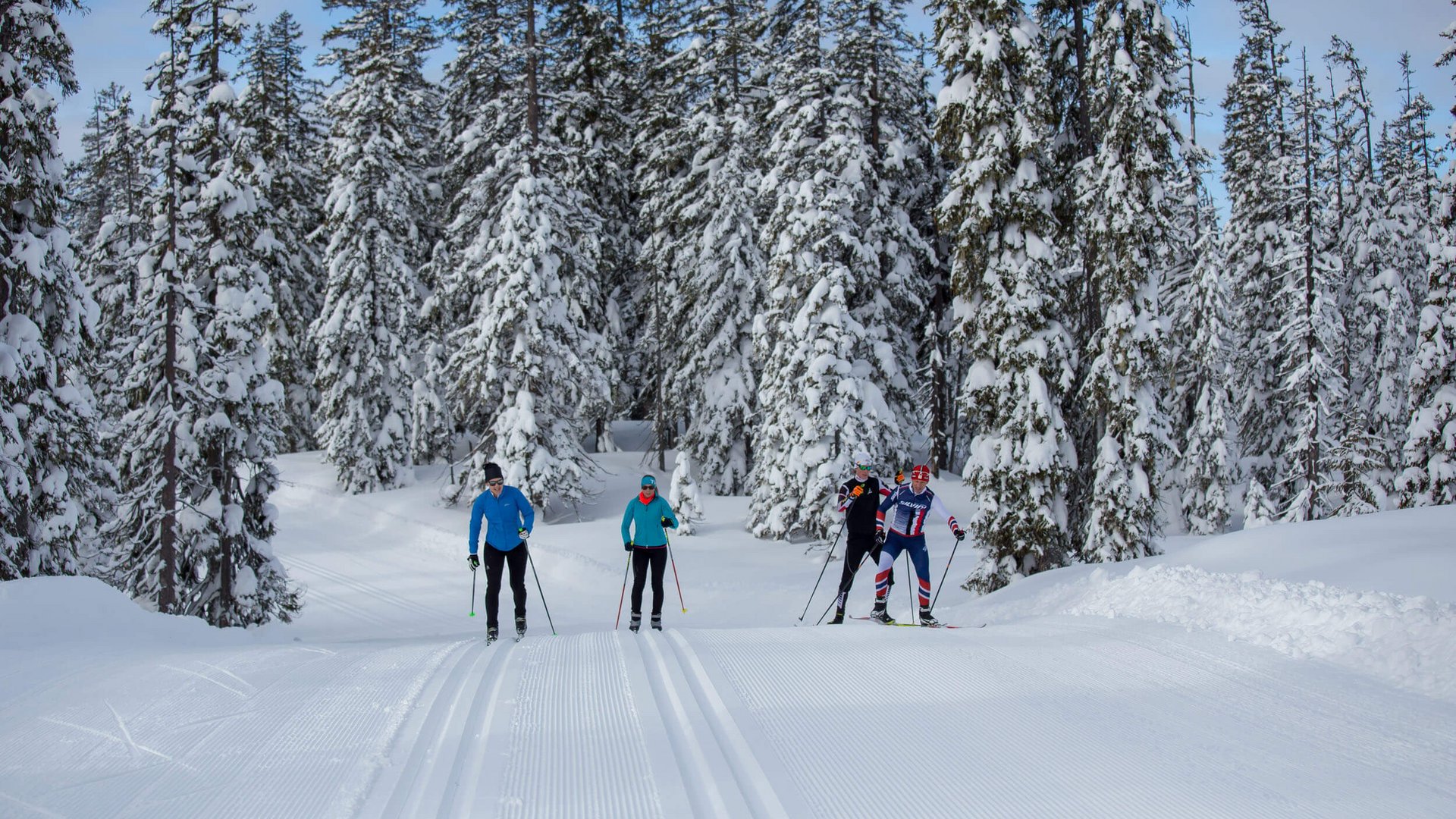 Langlauf Urlaub in Filzmoos © Coen Weesjes - Filzmoos Tourismus Vier Langläufer auf verschneiter Strecke umgeben von schneebedeckten Bäumen
